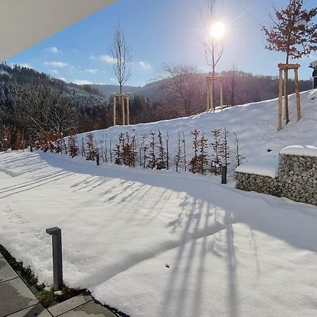 Upland Lounge Apartment Willingen  Exterior photo