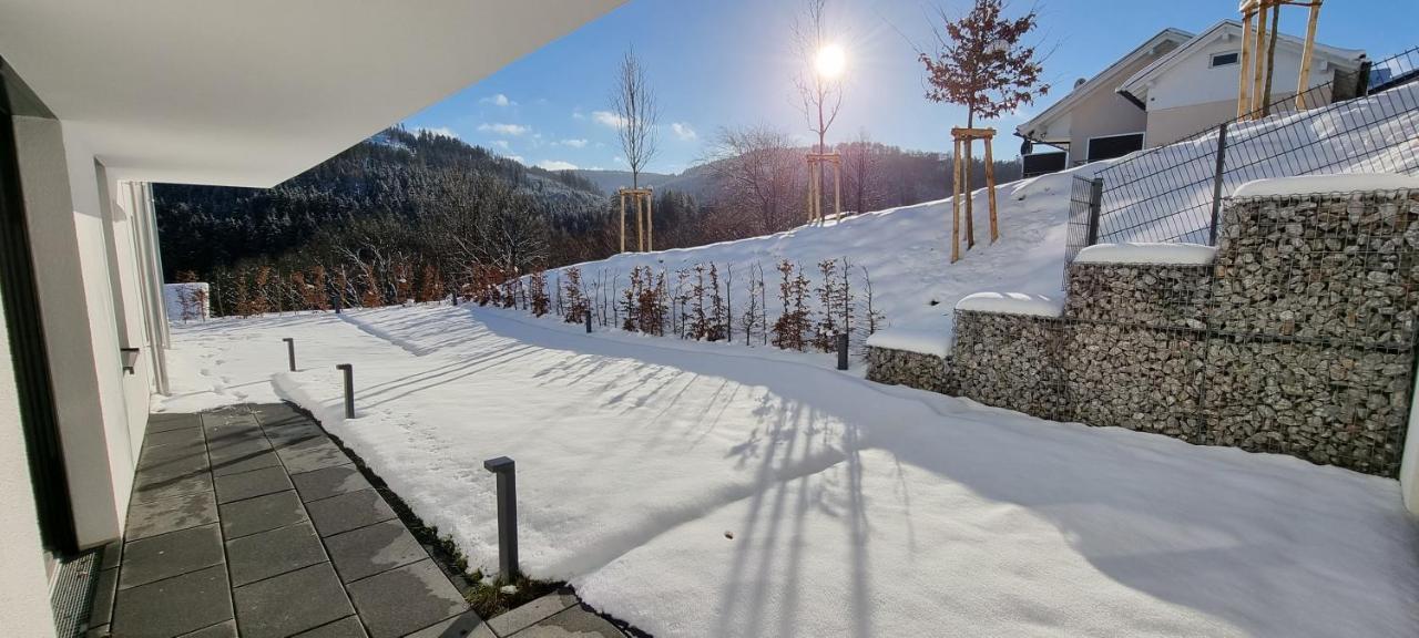 Upland Lounge Apartment Willingen  Exterior photo